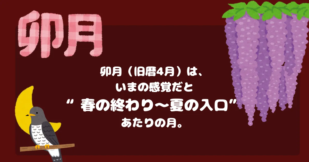 4月花札 藤に不如帰。4月札が春の札なのに初夏の気配が混ざる理由を説明する図解